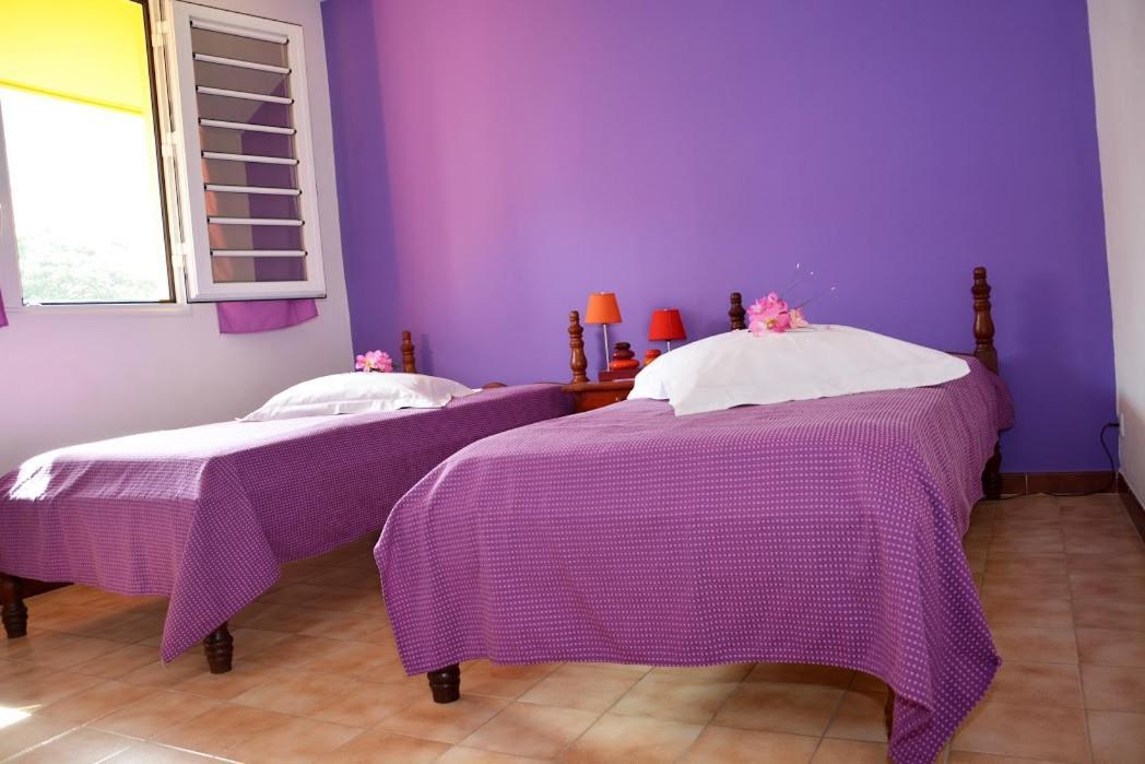 Residence De Vacances Mon Refuge - Bungalow De Type T3 Grande Anse Exterior foto