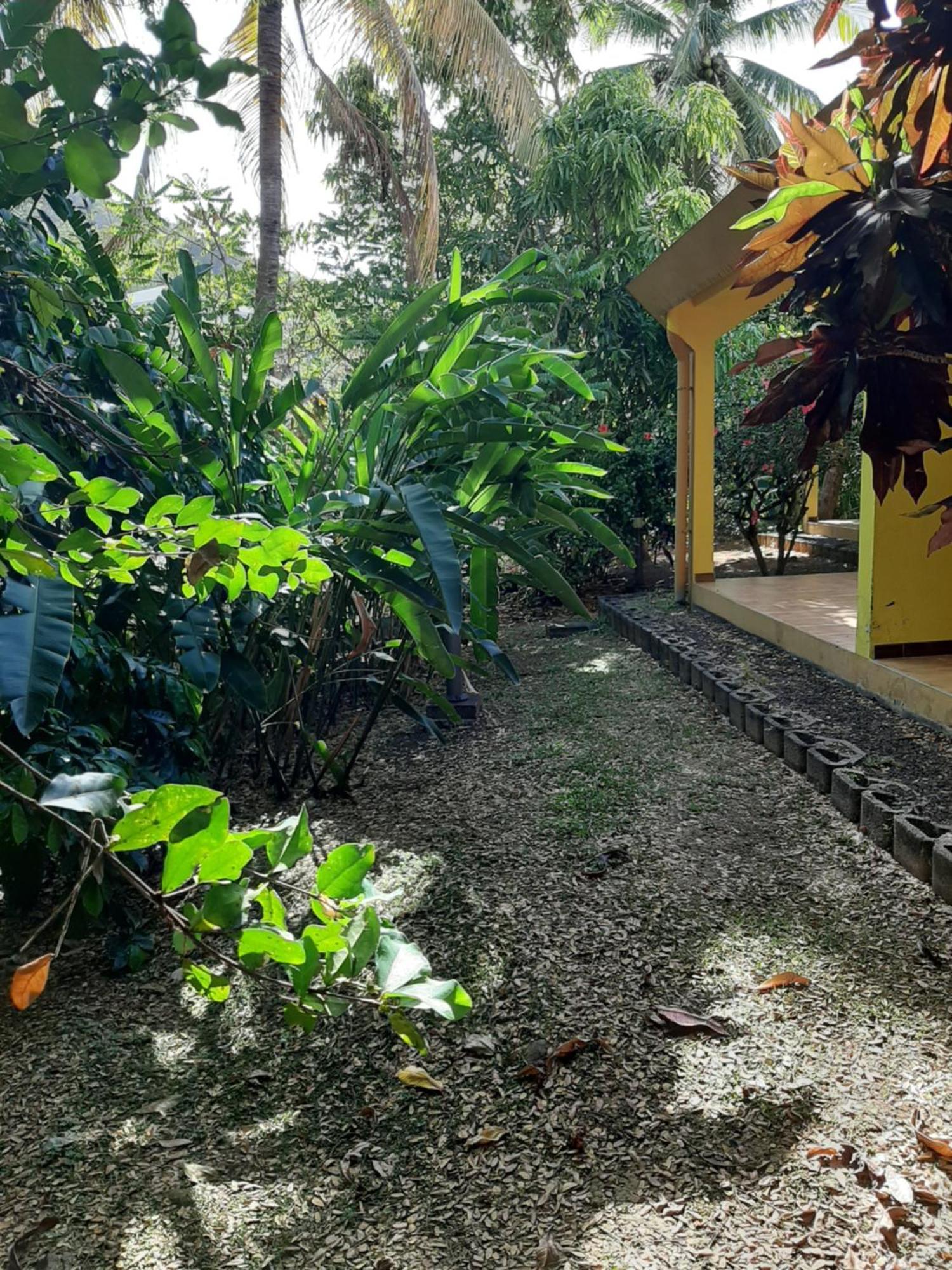 Residence De Vacances Mon Refuge - Bungalow De Type T3 Grande Anse Exterior foto